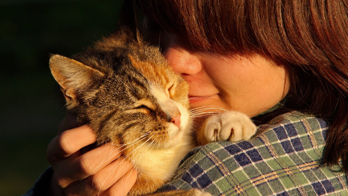 Agenzia funebre per animali in provincia di Roma: ritiro a domicilio e cremazione sicura
