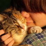 Agenzia funebre per animali in provincia di Roma: ritiro a domicilio e cremazione sicura