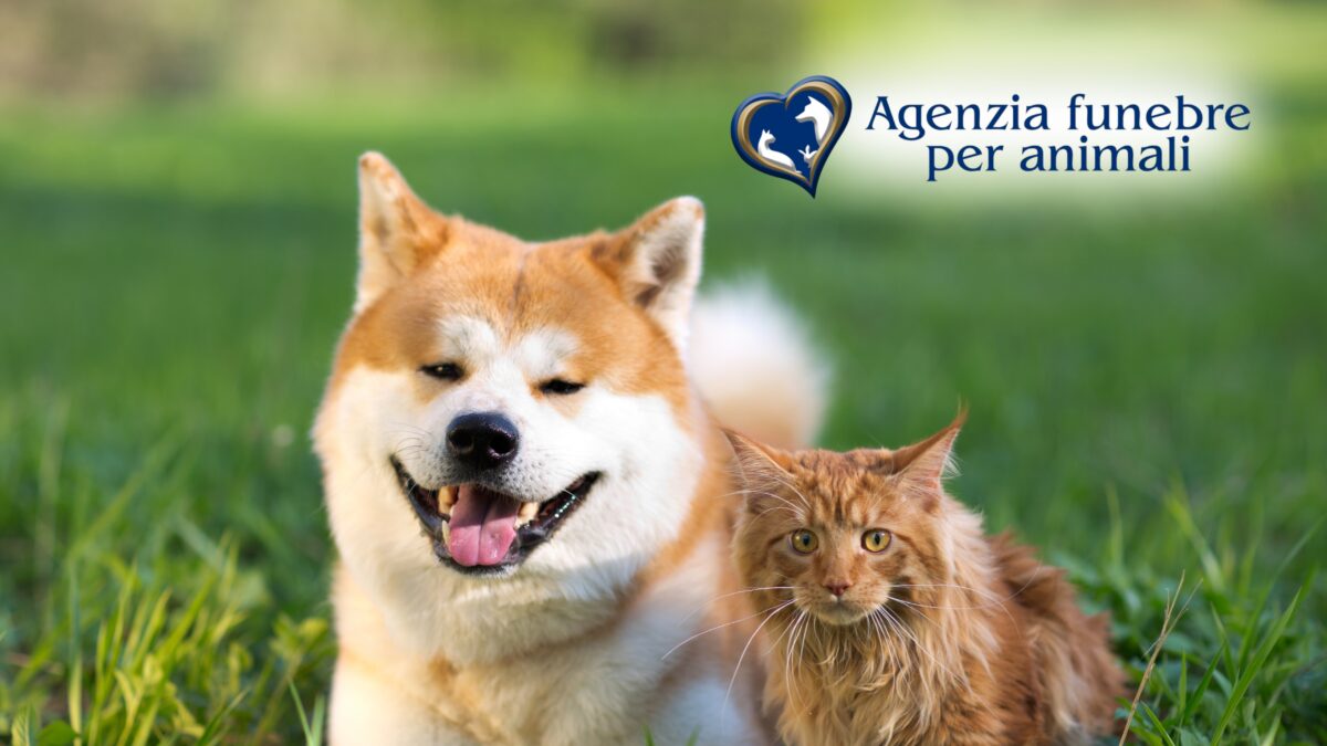 come cremare un animale